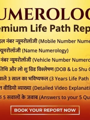 Premium report details